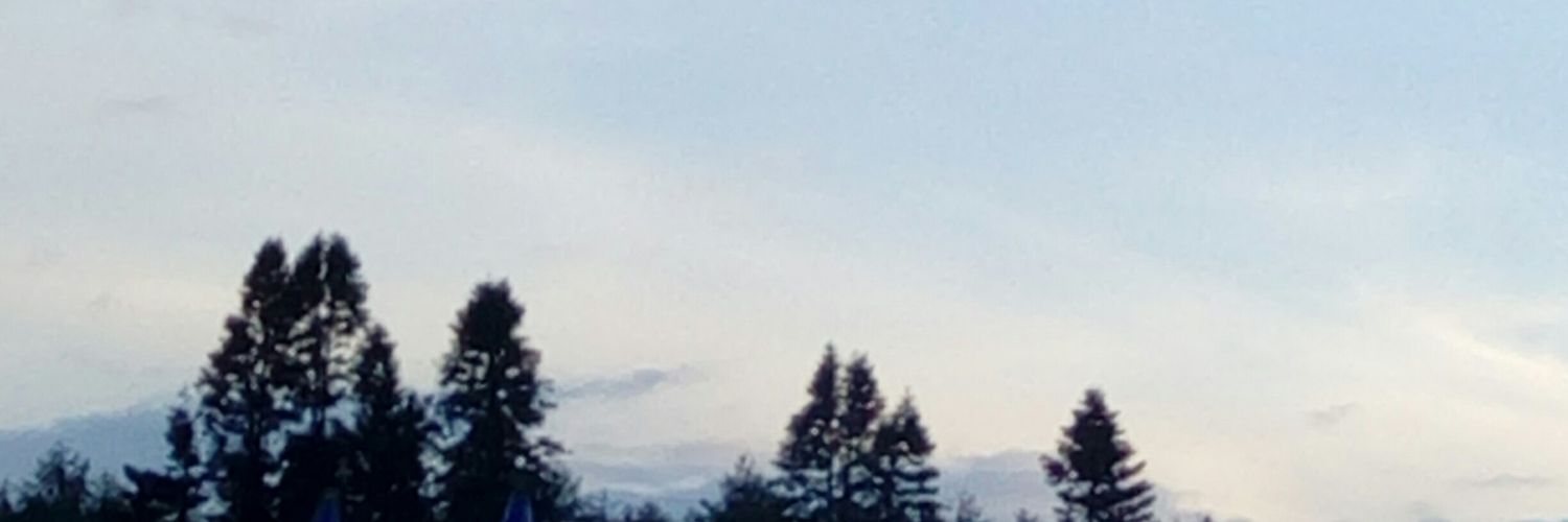 TheTideClaire's profile banner image