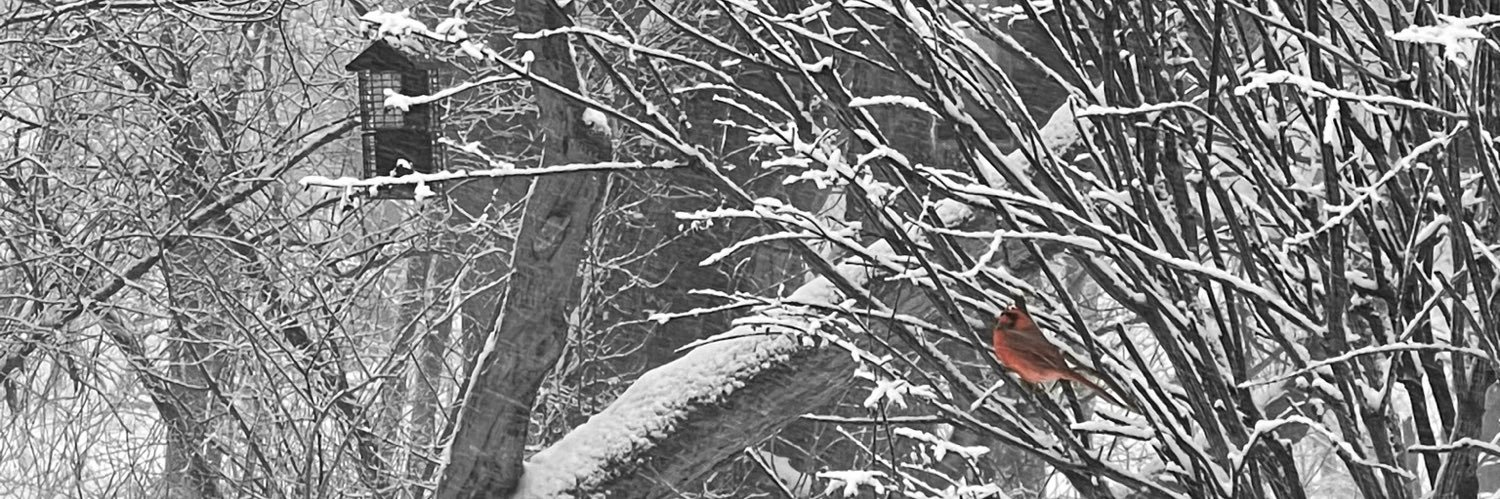 ✍️ banner
