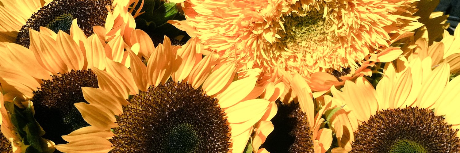 ashleyrm17's profile banner image