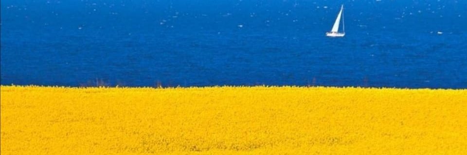 TinaDvalishvili's profile banner image
