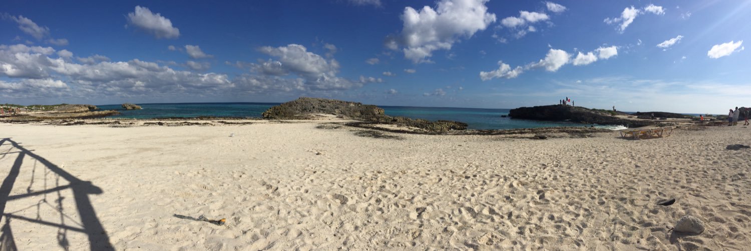 Michelle Ulasich banner