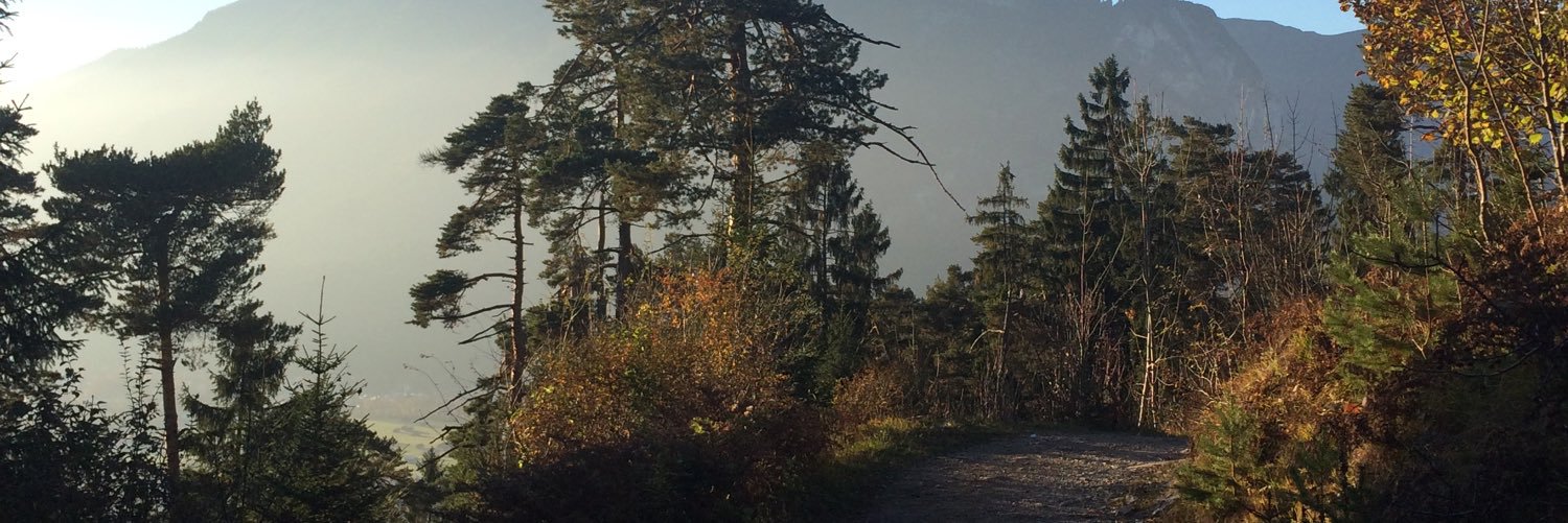 bec_laura's profile banner image