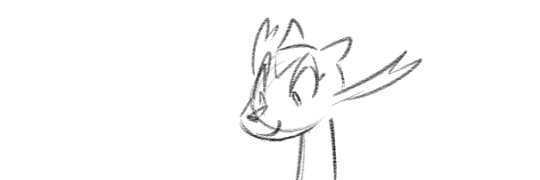 Joeyshark13's profile banner image