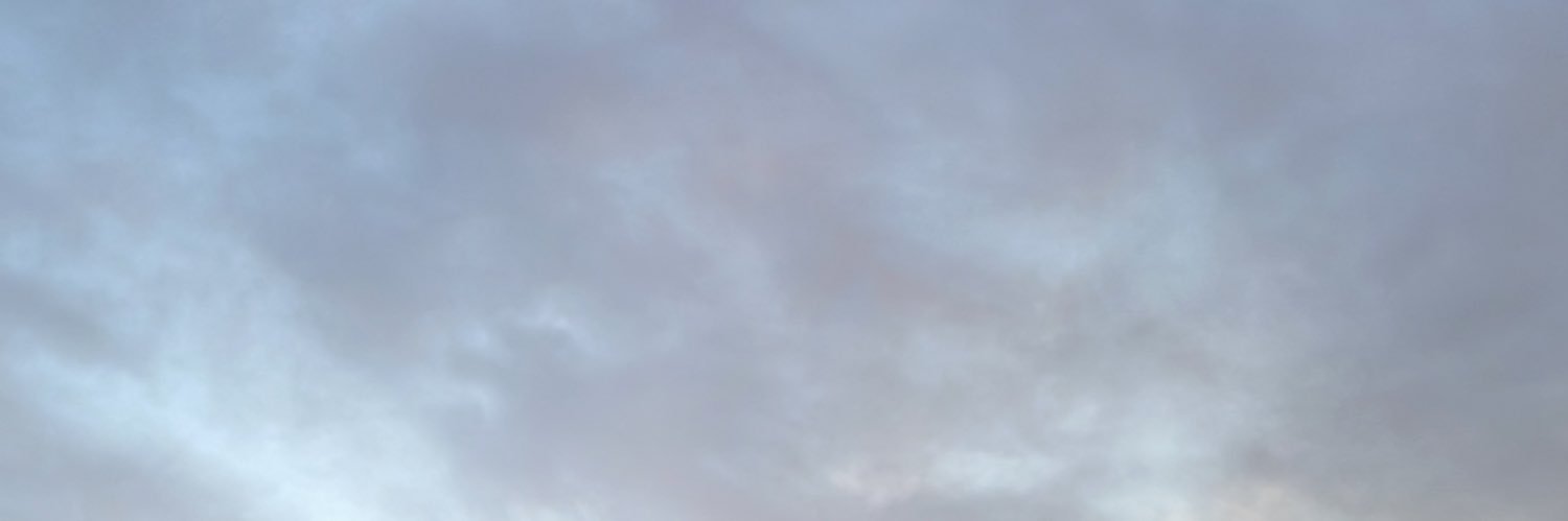 Stuart McCully banner