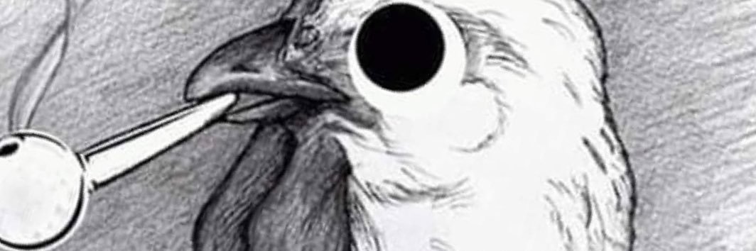 Norman Ⓜ️ banner