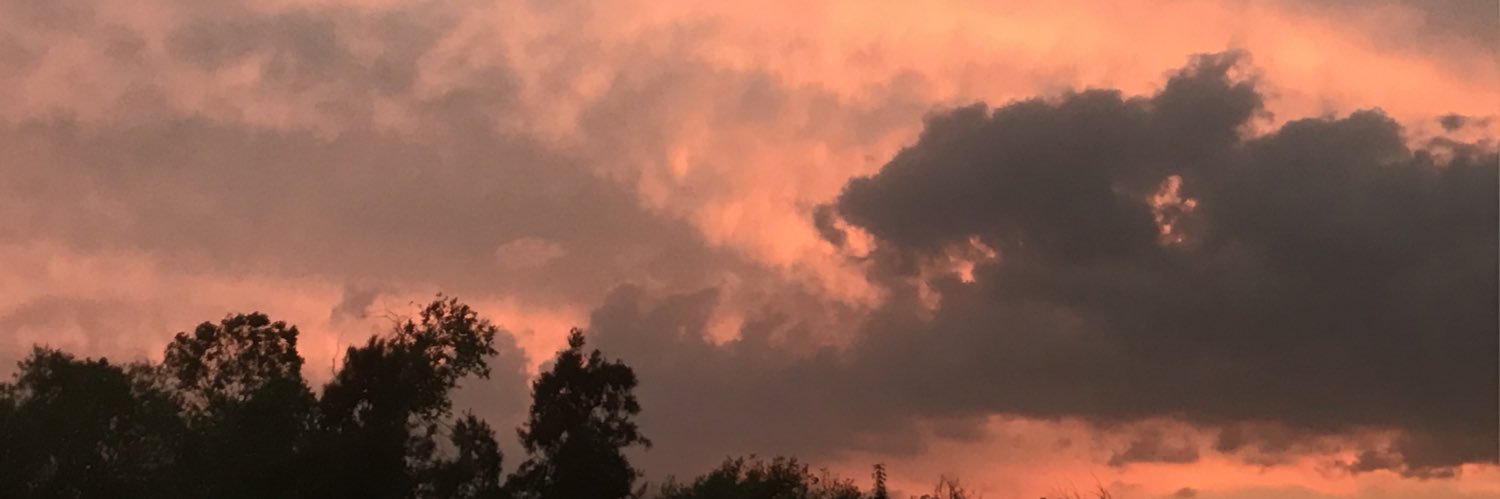 sendlovemaxx's profile banner image