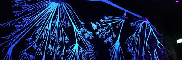 FDiniAndreote Profile Banner