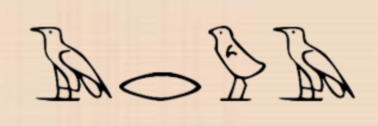 _Arvva_7's profile banner image