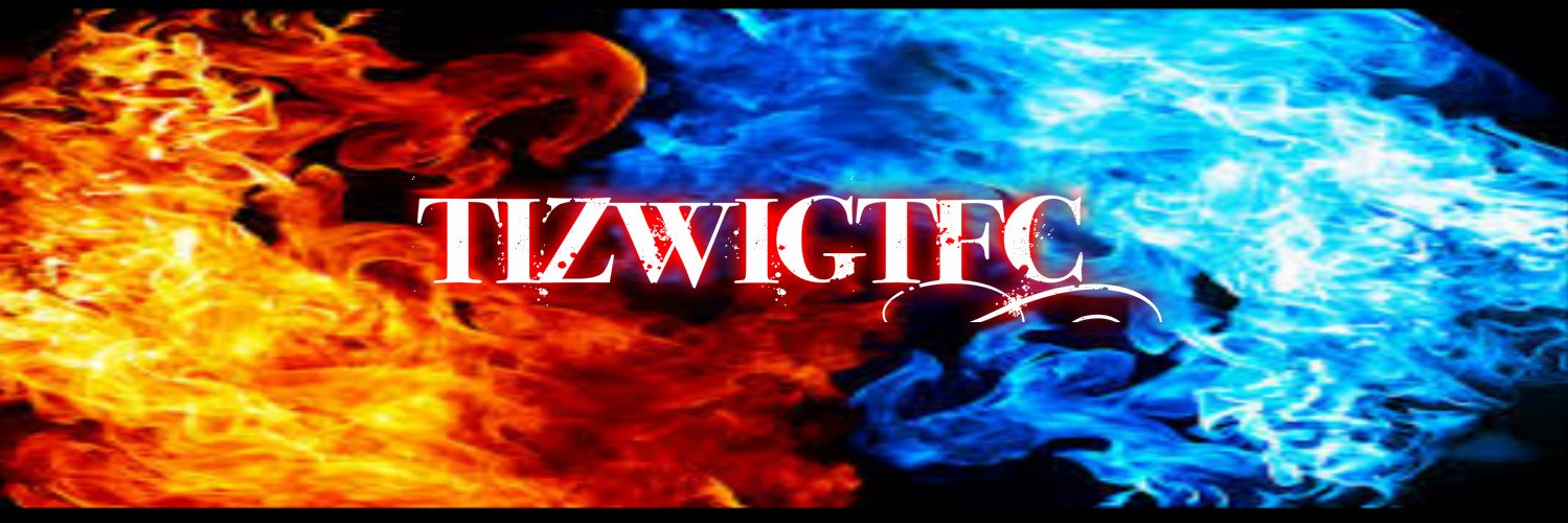 TizwigTFC's profile banner image