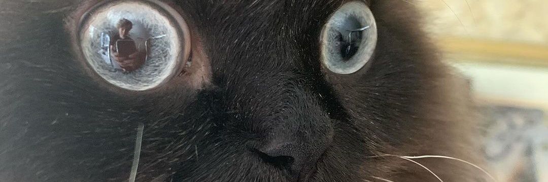 lucieta31's profile banner image