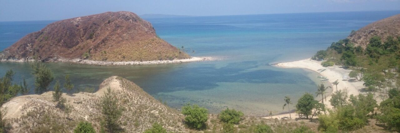 Maroon Stockyn'Bear banner