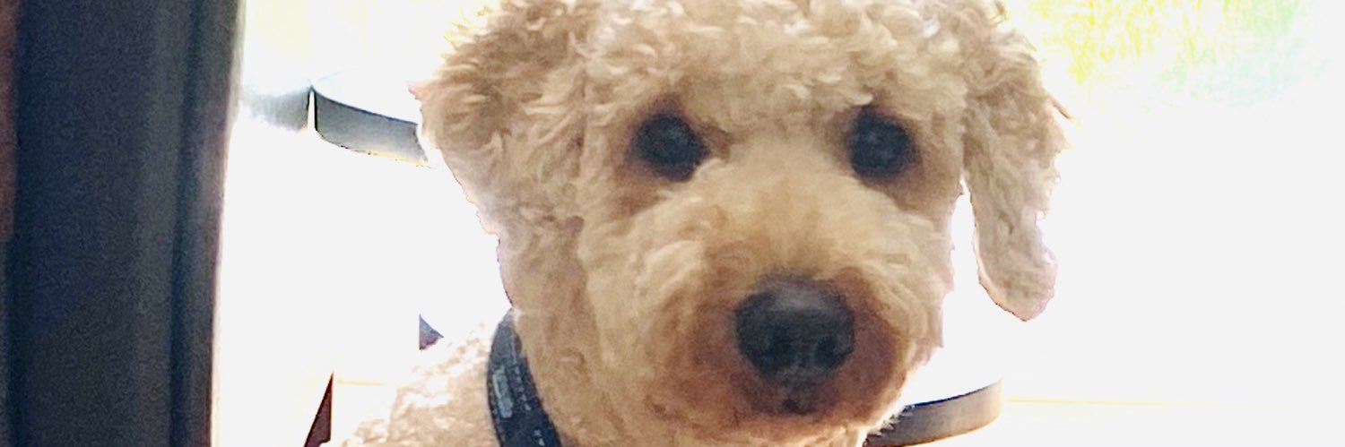 Shoba Subramanian, Ph.D. (she/her) banner