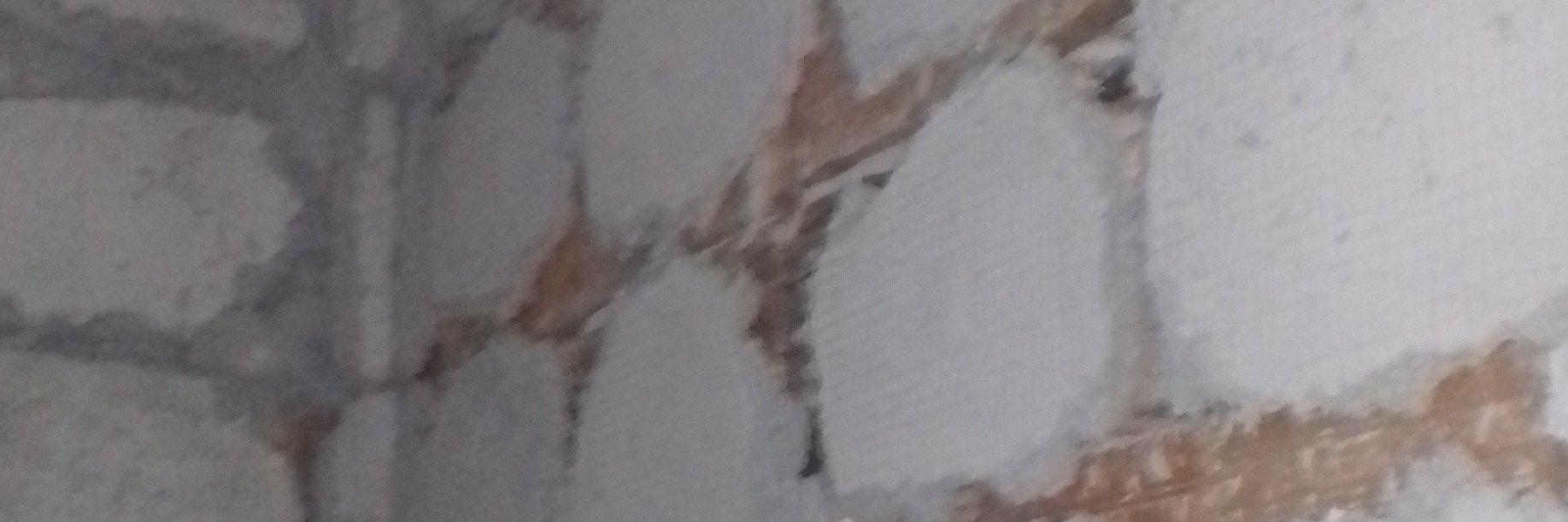 DumanlSelim's profile banner image