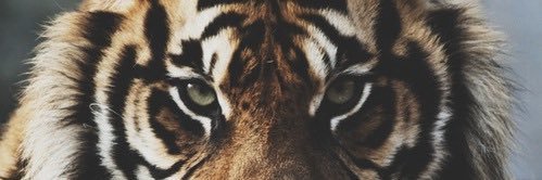 MiaaAhmad's profile banner image