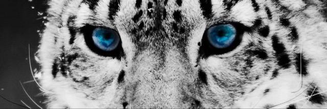 gem_millea's profile banner image