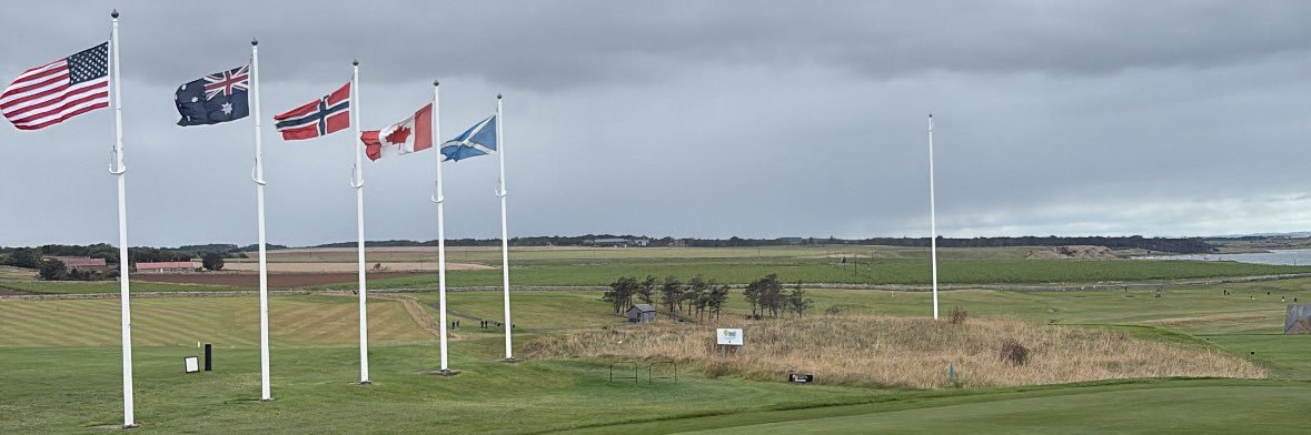 arranross15's profile banner image