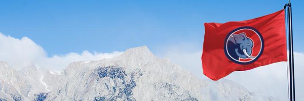 CustomMadeFlags Profile Banner