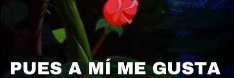 PUES A MÍ ME GUSTA. banner