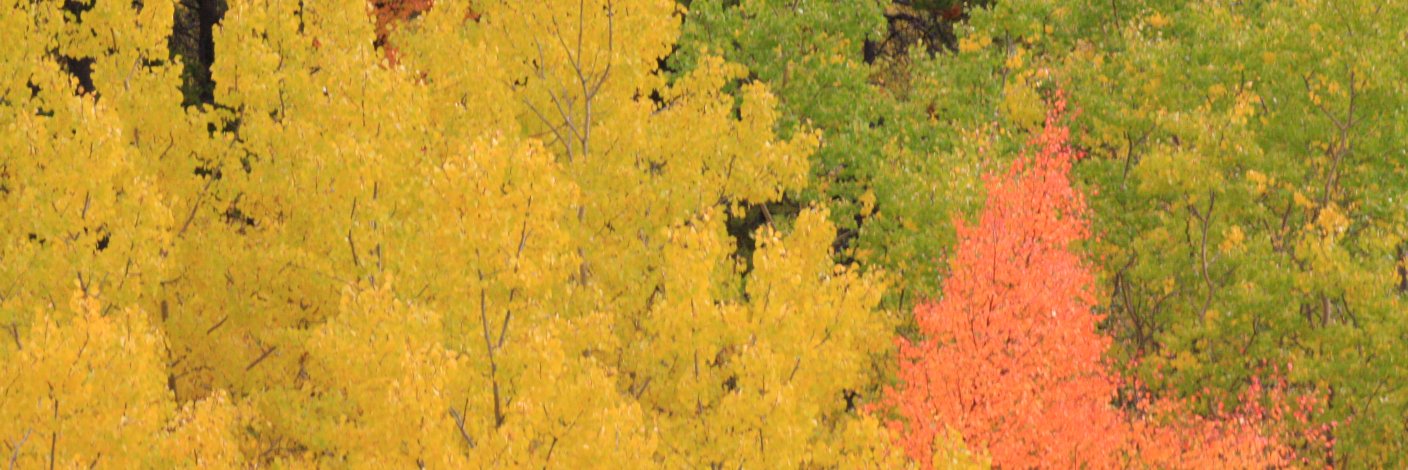 Charles Scott banner