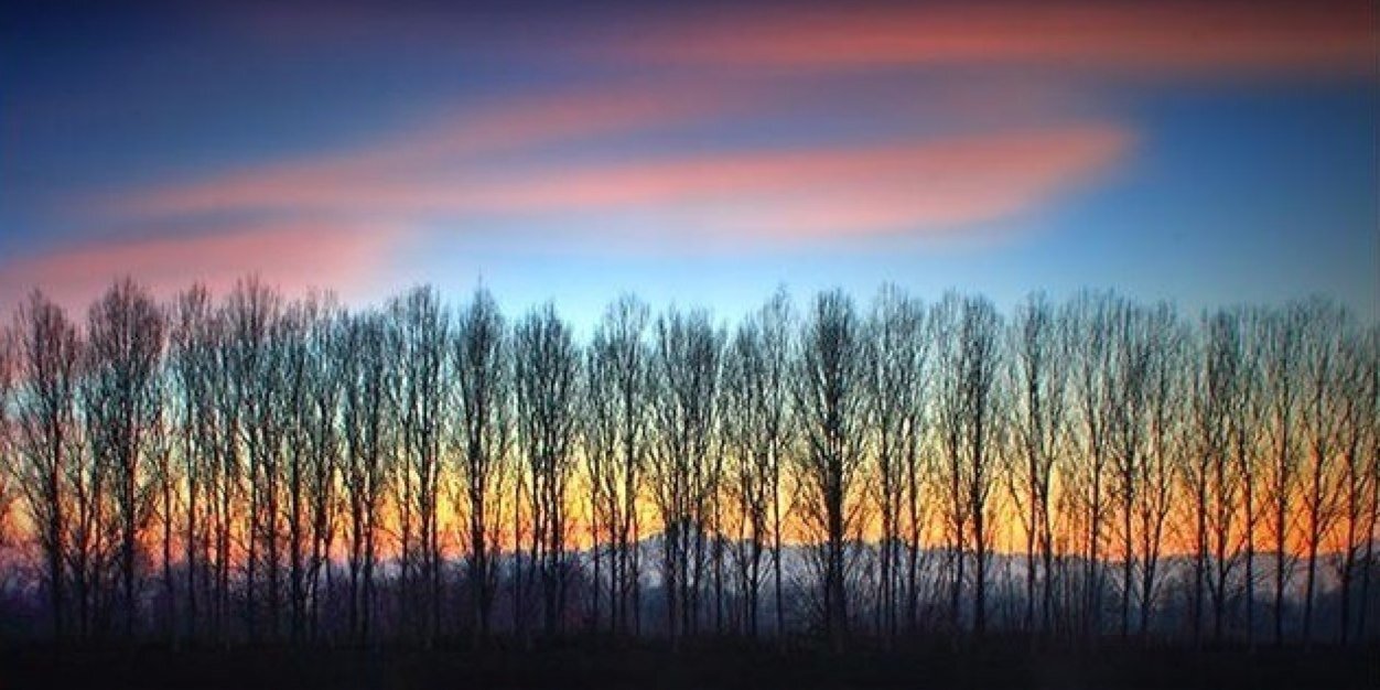 QueenSublime's profile banner image