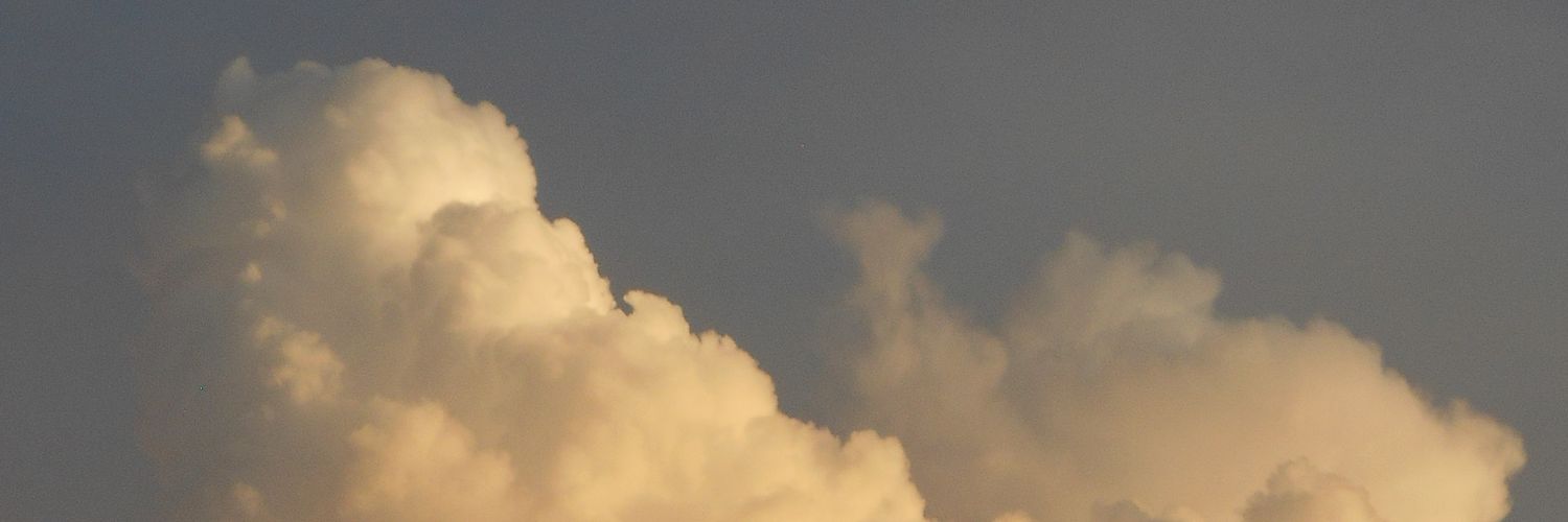 bloomwithoutair's profile banner image