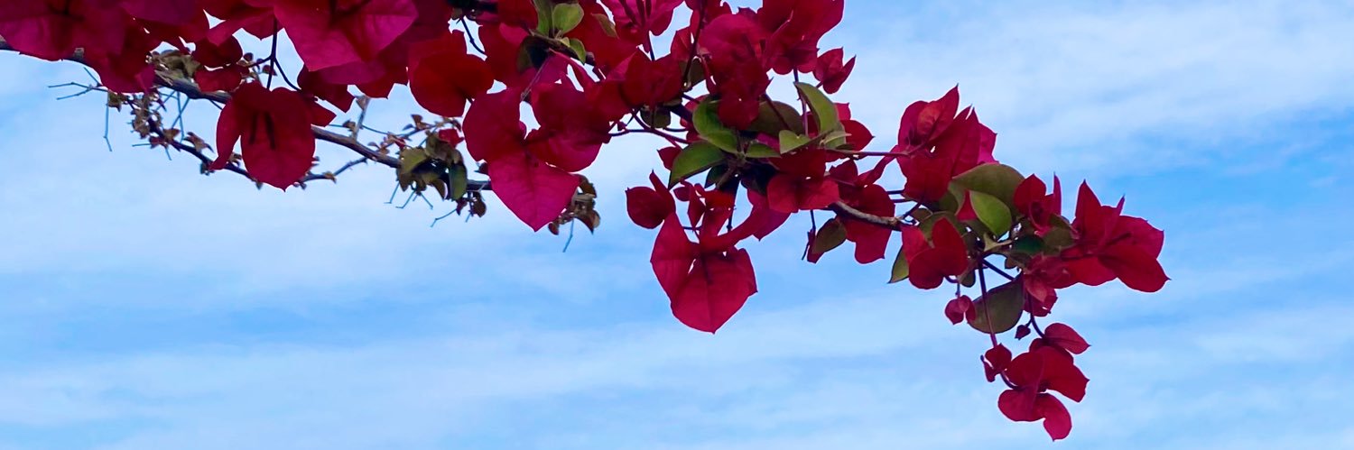 hyakdn's profile banner image
