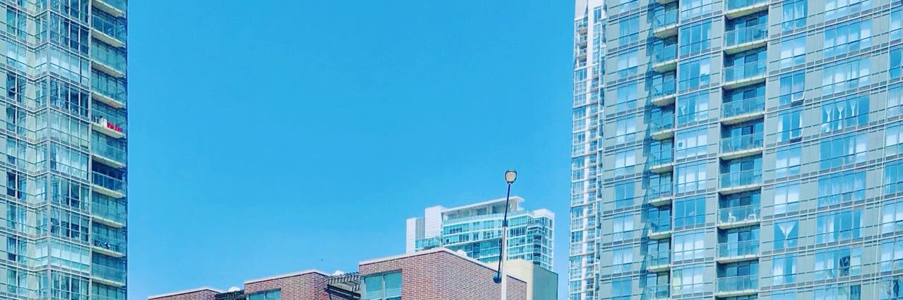 sparrow_v's profile banner image