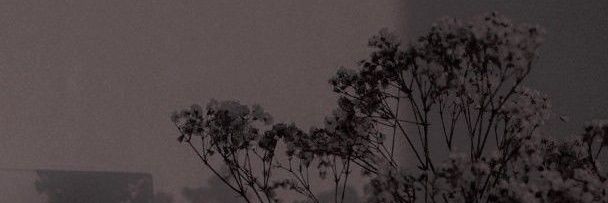 NadnadFriz's profile banner image