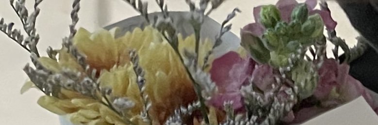 abbyswanagerrr's profile banner image