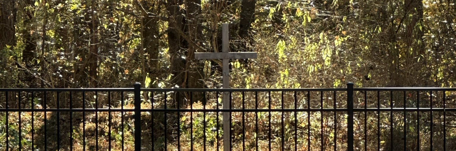 W. S. Browning banner