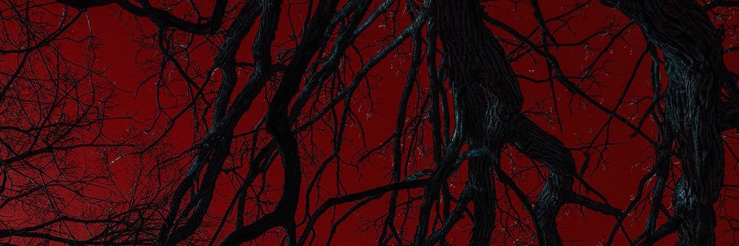 kira ⛤⃝'s banner