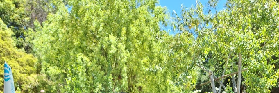 svturno__'s profile banner image