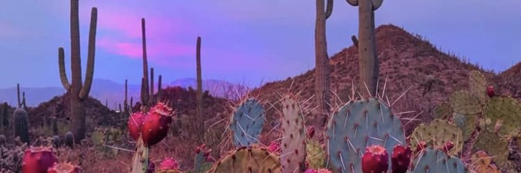 PresleyRevlett's profile banner image
