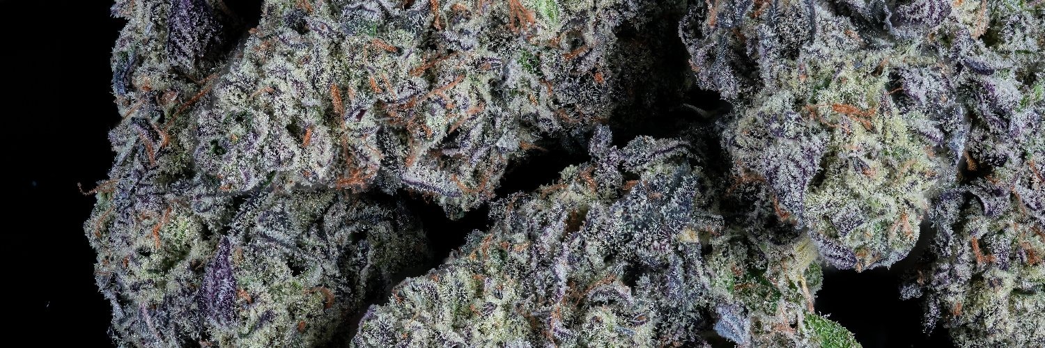 herb chillin banner