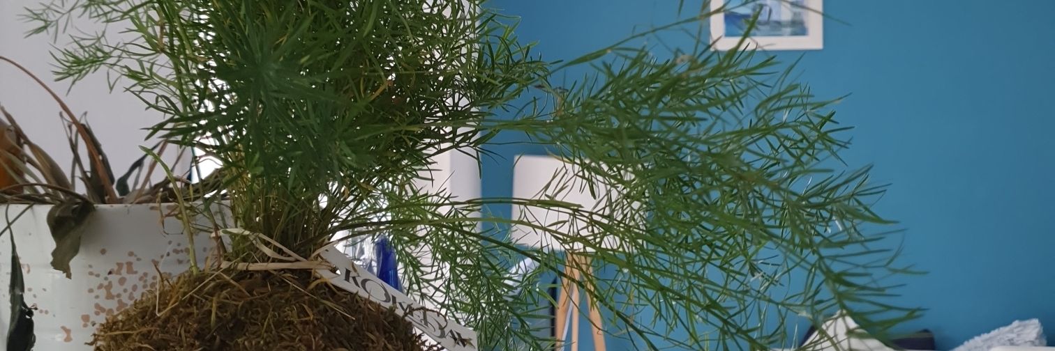 Emmanuelle Jeanne Dit Fouque Sicard banner