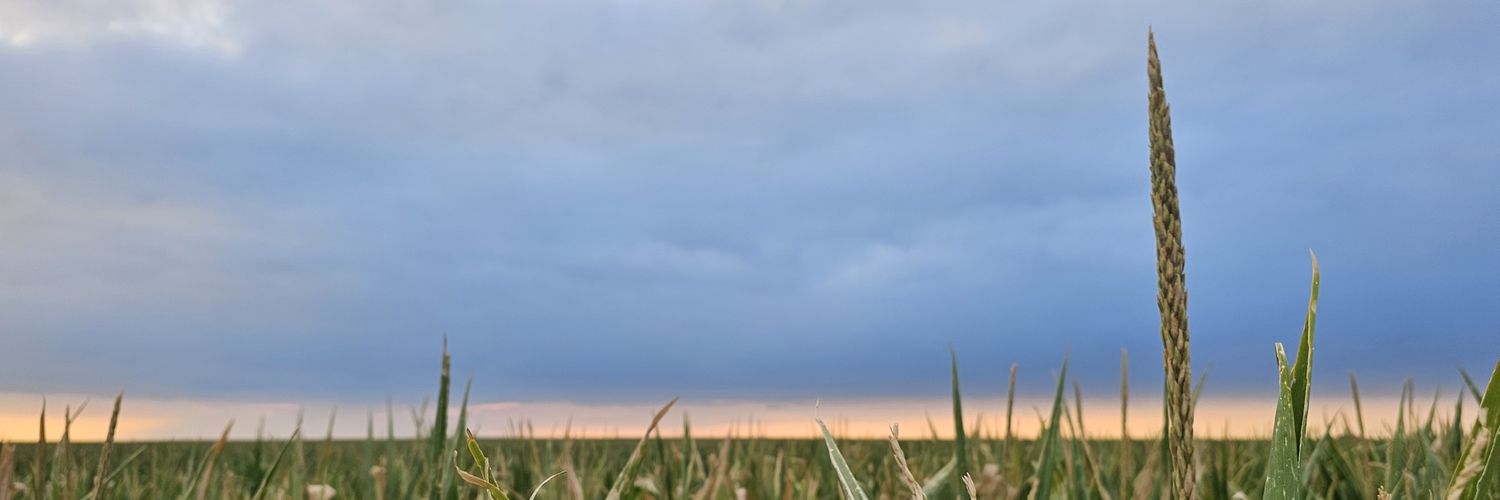 mrolo81's profile banner image