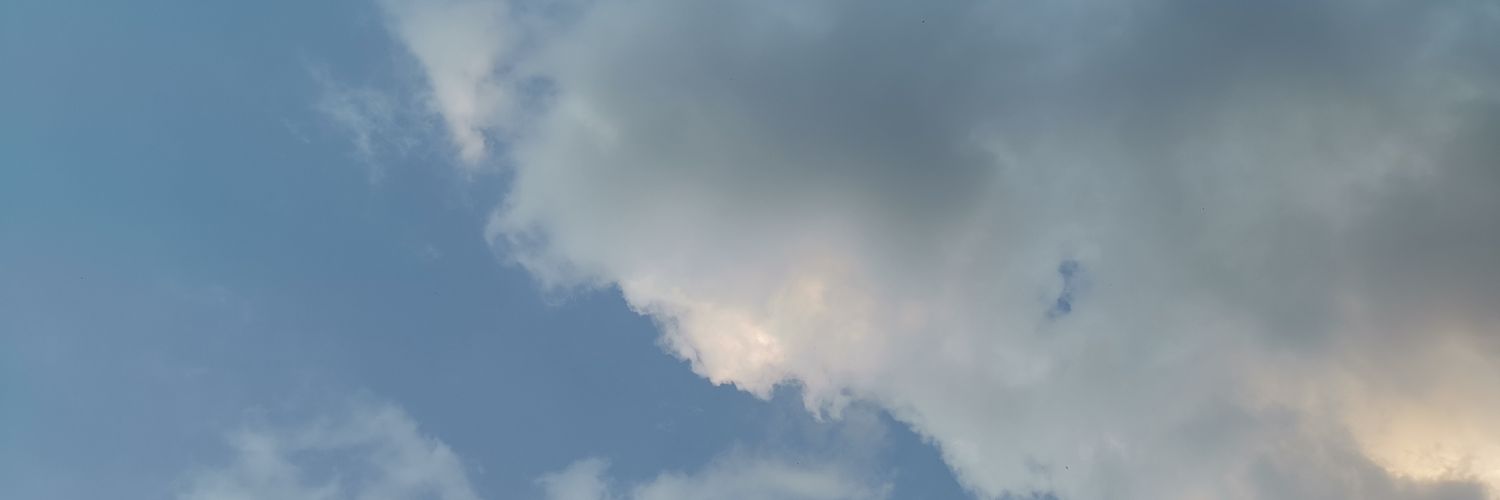 llmmbp's profile banner image