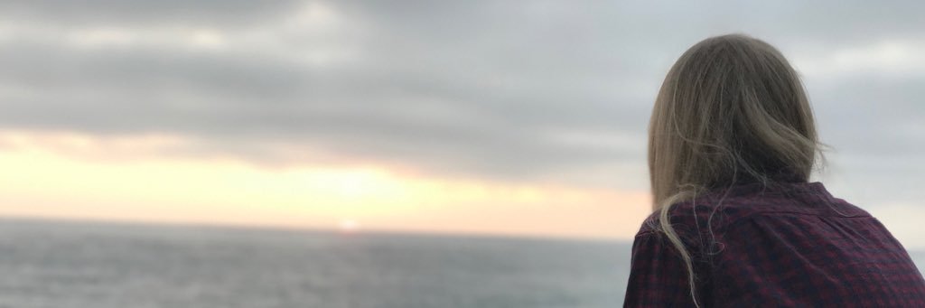 aves___'s profile banner image