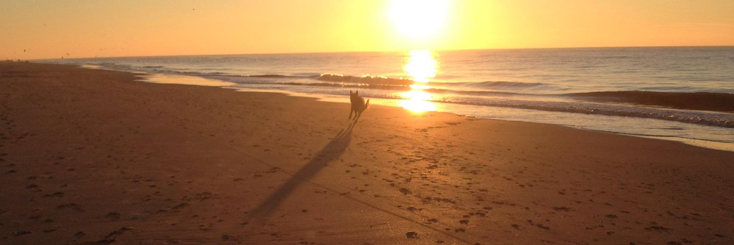 13YvP's profile banner image