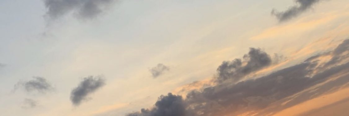 k1y2n3's profile banner image