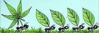 kushkidthoughts's profile banner image