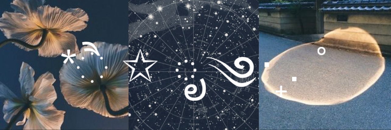 ༺♡༻ banner