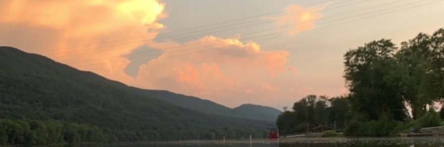 Ryan Orgitano banner