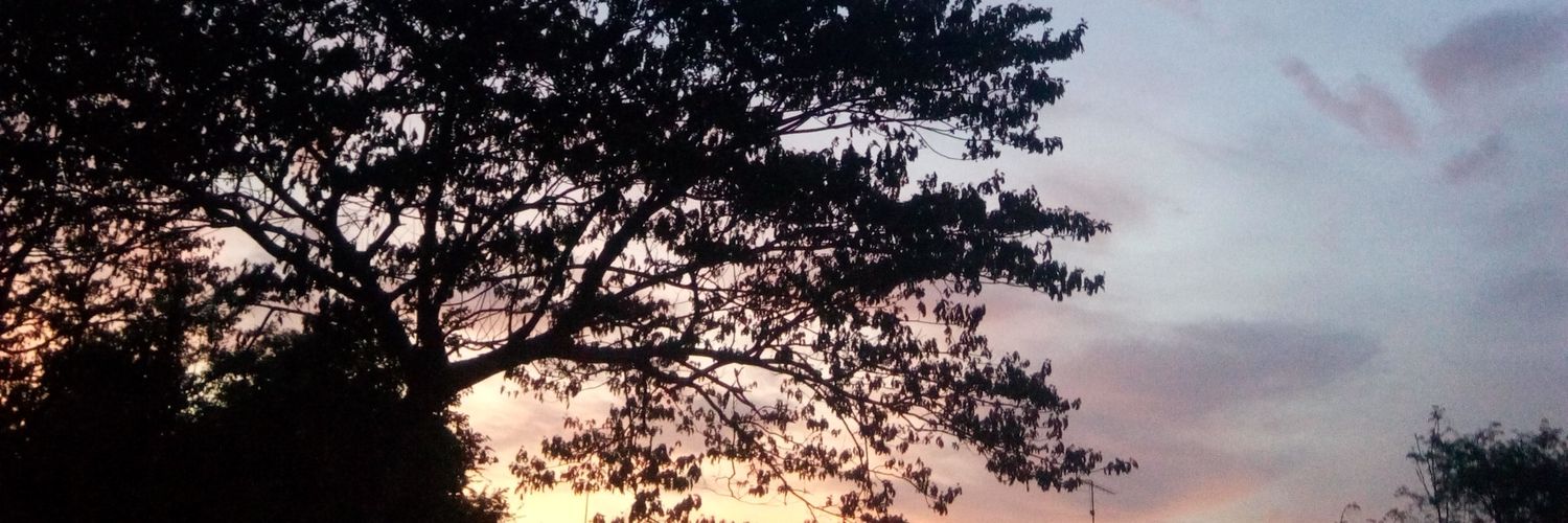 Pspapall's profile banner image