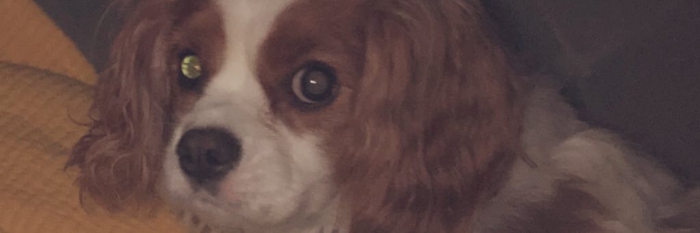 vehncos's profile banner image