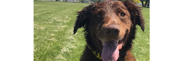 WinfieldPond's profile banner image