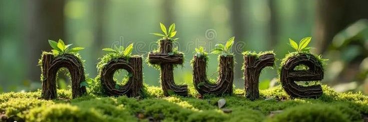 Nature Gallery banner