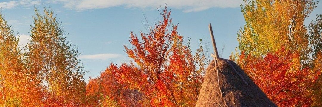 isaaclb05's profile banner image
