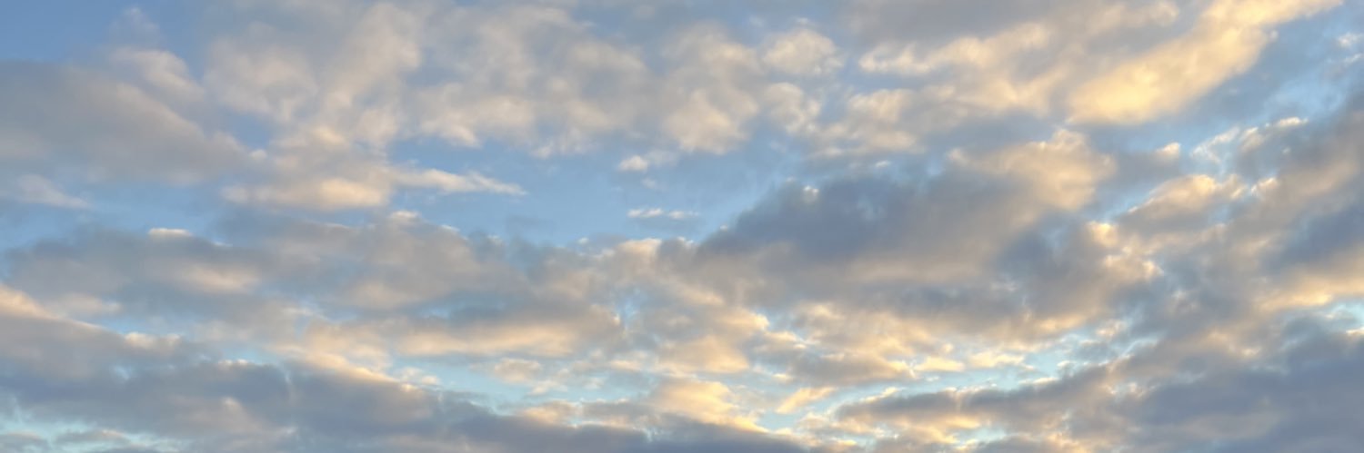 _arieana's profile banner image