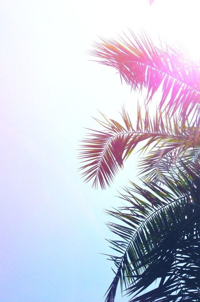 Aggus_avalos's profile banner image